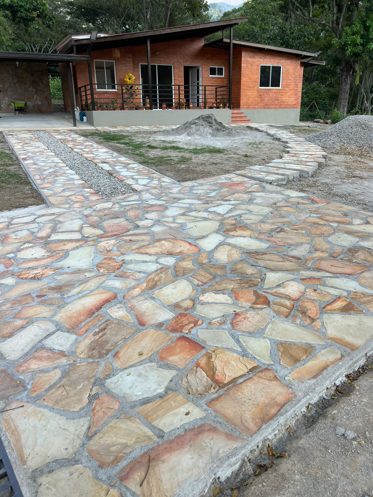 Piso laja multicolor