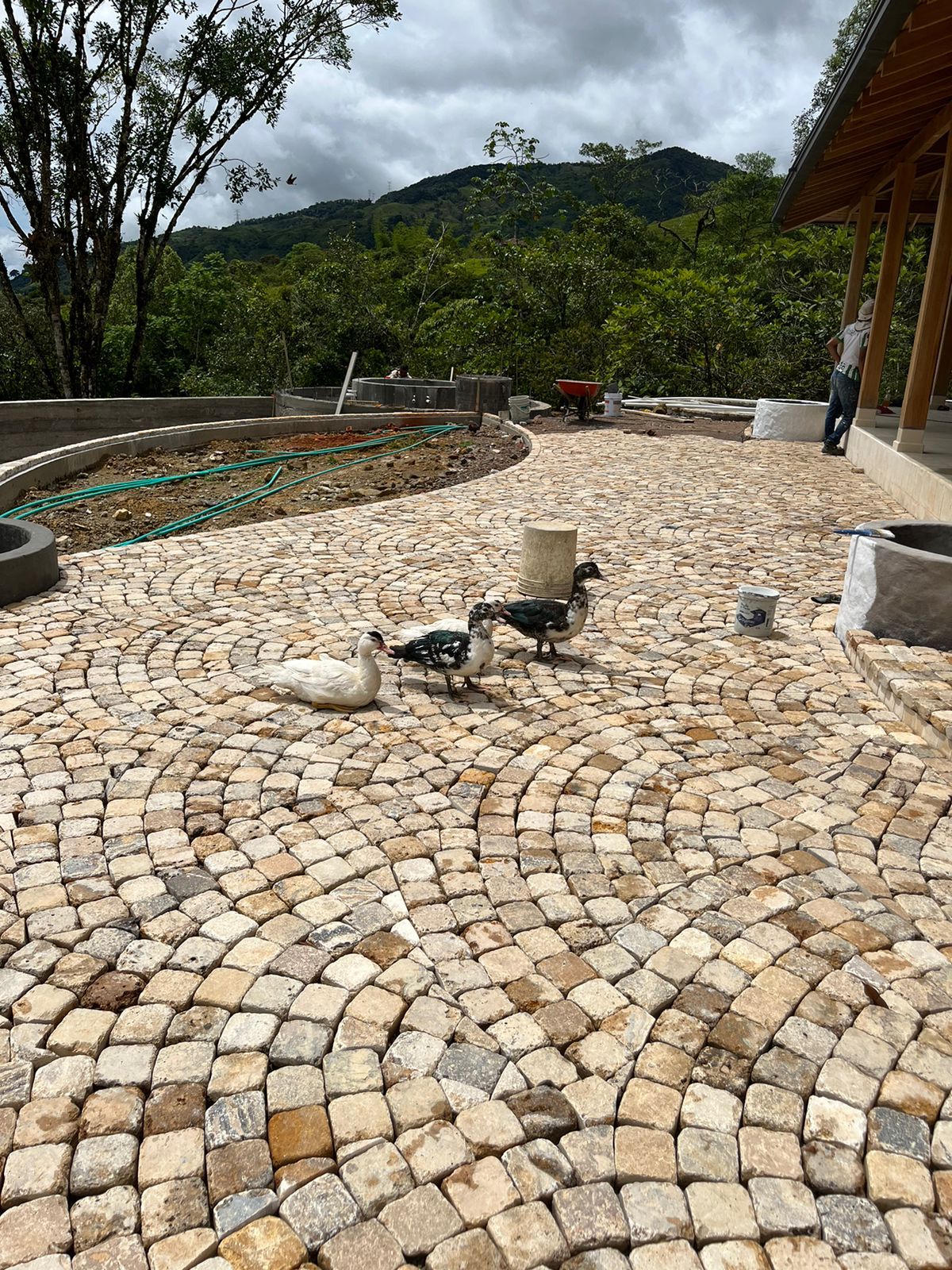 Adoquín travertino 10x10x3cm tamboreado