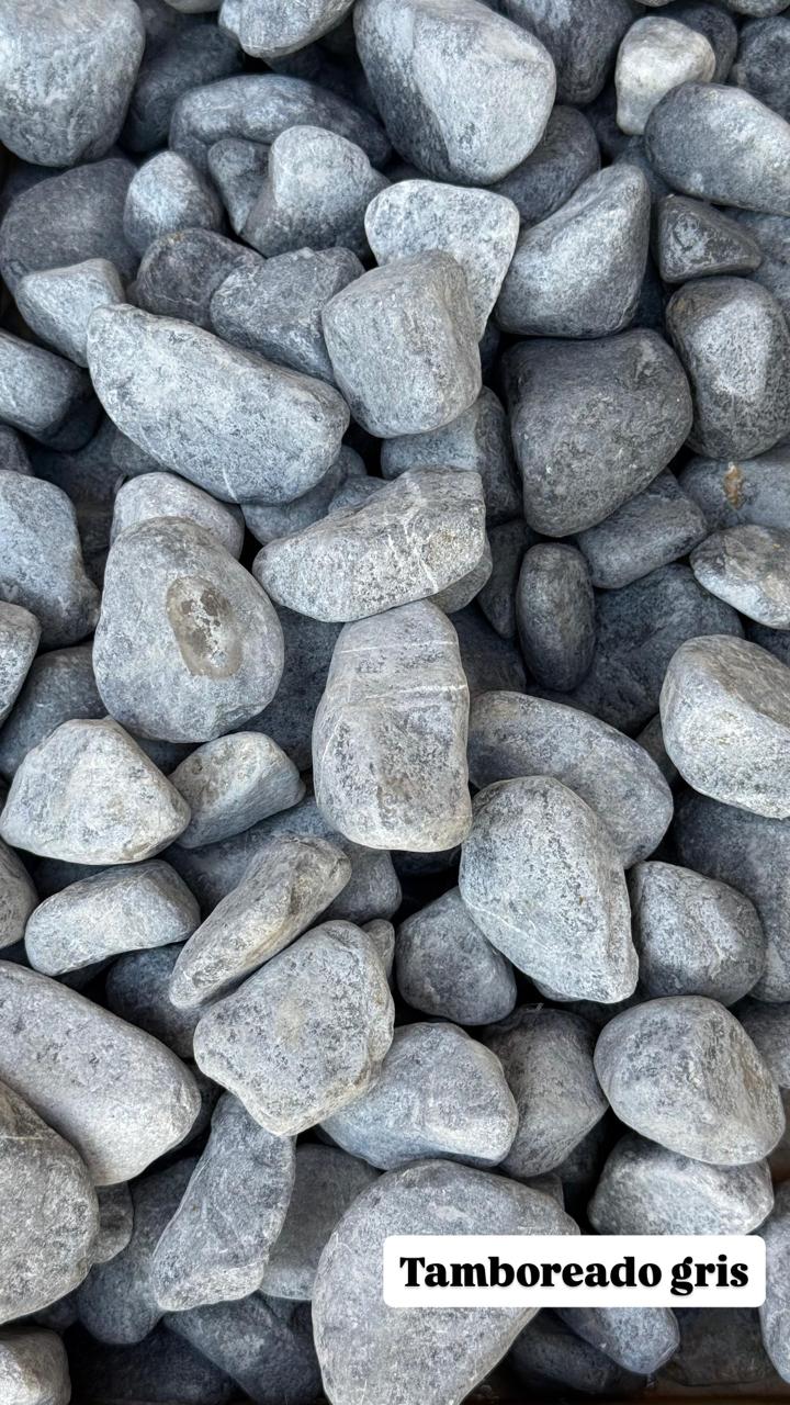 Tamboreada gris