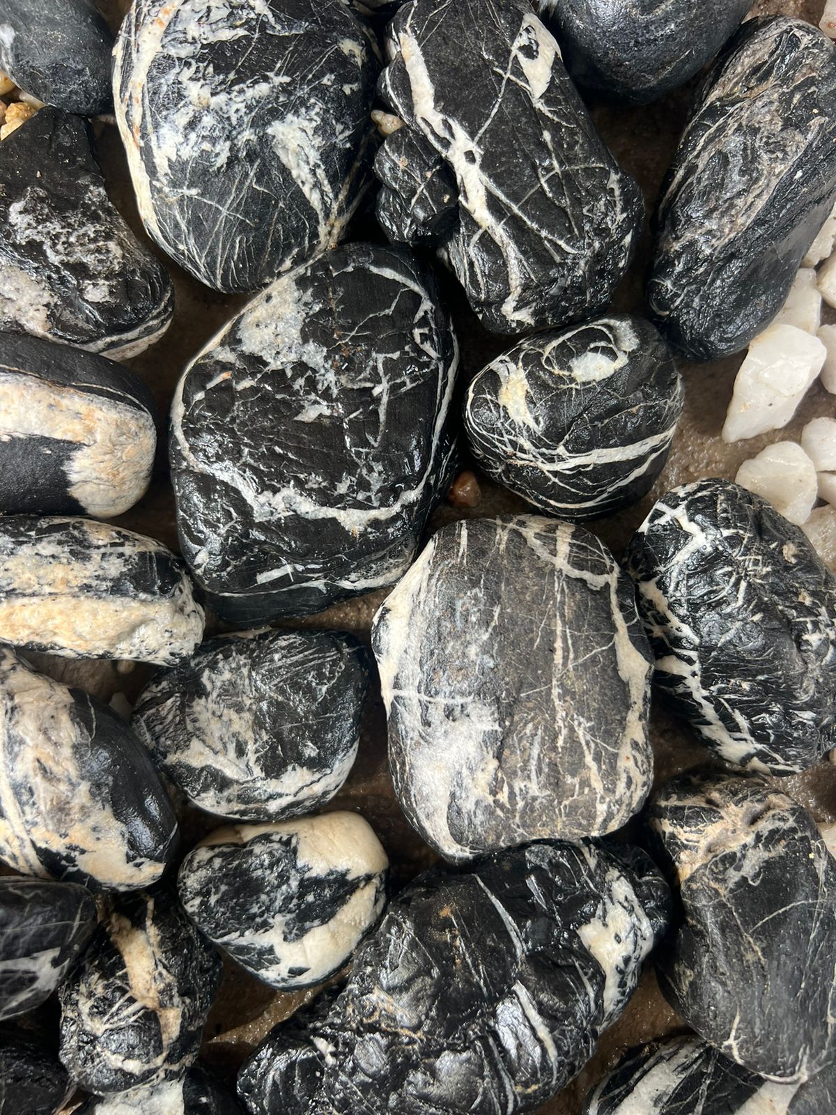 Negra blanco