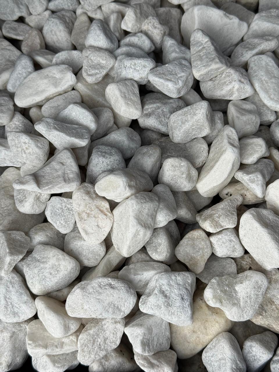 Tamboreada blanca