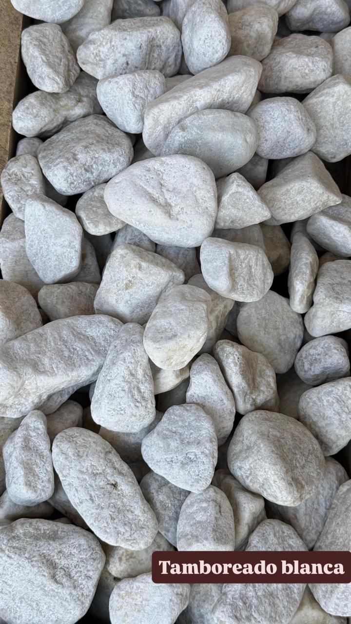 Tamboreada blanca